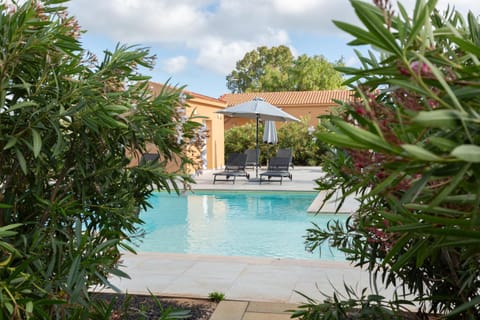 Spring, Day, Garden, Garden view, Pool view, Swimming pool, Swimming pool, sunbed