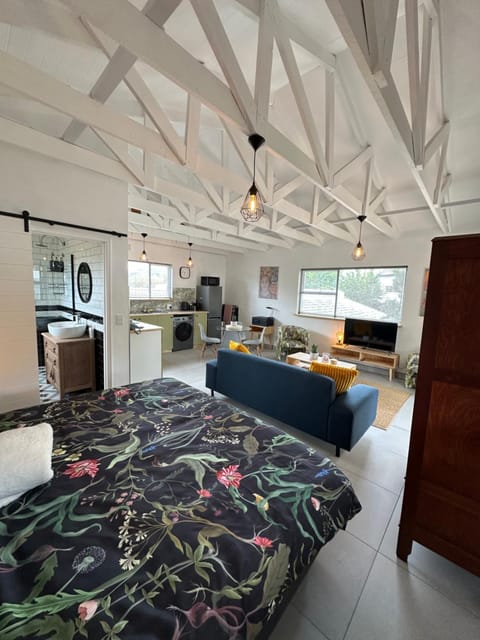 Bed, TV and multimedia, Kitchen or kitchenette, Living room, Photo of the whole room, Seating area, Dining area, Bedroom