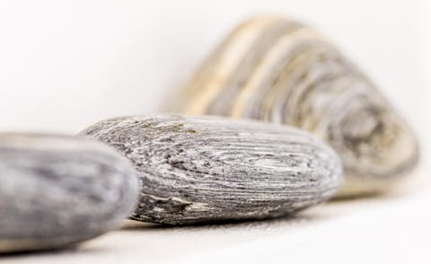 Depis luxury apartments Apartment in Naxos