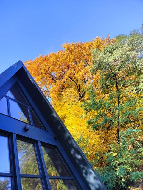 Property building, Day, Natural landscape, Garden, Garden view