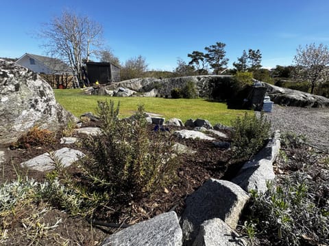 Patio, Garden, Garden view