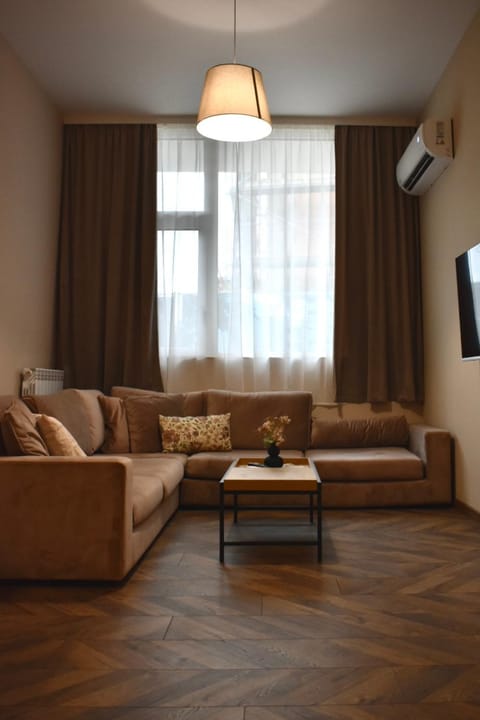 TV and multimedia, Living room, Seating area, air conditioner