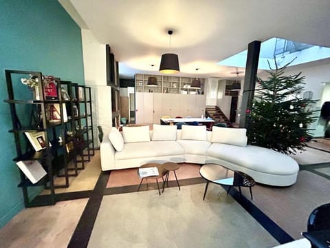 Large architect-designed house with rooftop Apartment in Paris