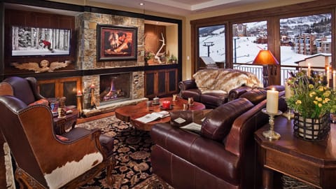 TV and multimedia, View (from property/room), fireplace, furniture