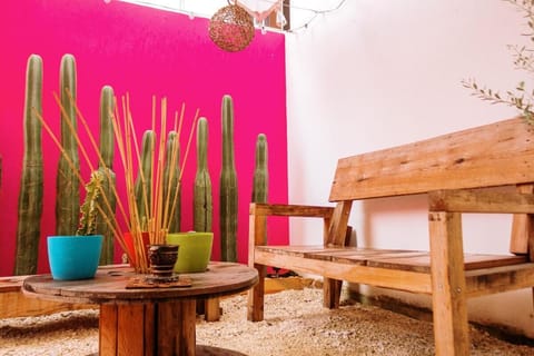 Patio, Garden, Garden view