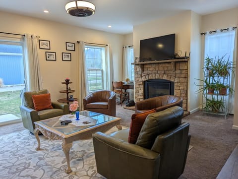 TV and multimedia, Living room, fireplace