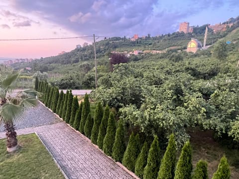 Property view