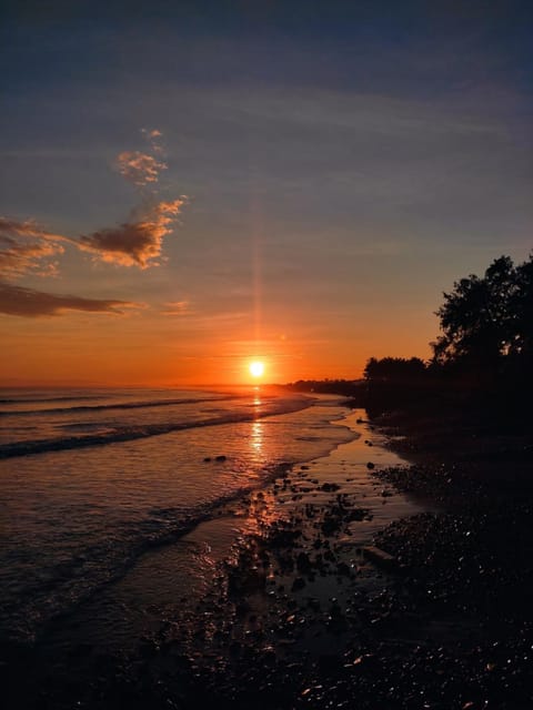 Beach, Sea view, Seasons, Sunrise