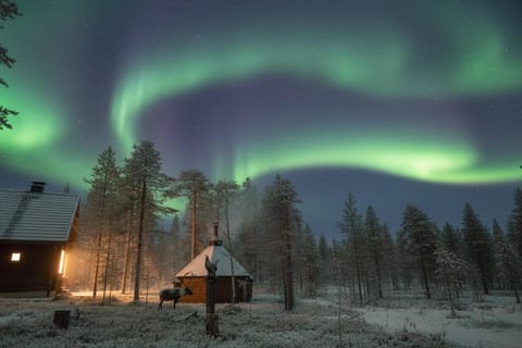 Koto Chalet Ski-In Ski-Out Hosted by Hygge Host Apartment in Rovaniemi