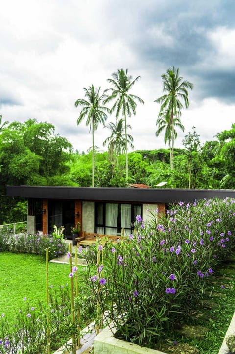 Natural landscape, Garden, Garden view