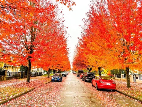 Spacious Family Home in Vancouver House in Vancouver