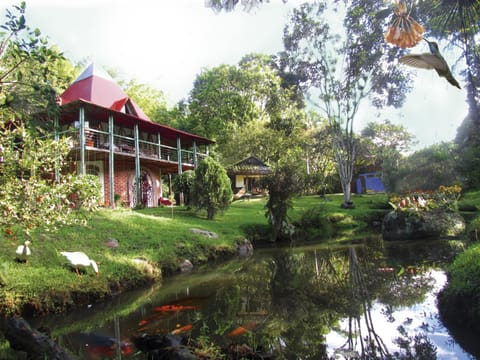 Property building, Garden, Lake view