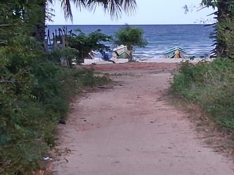 People, Natural landscape, Beach, Sea view