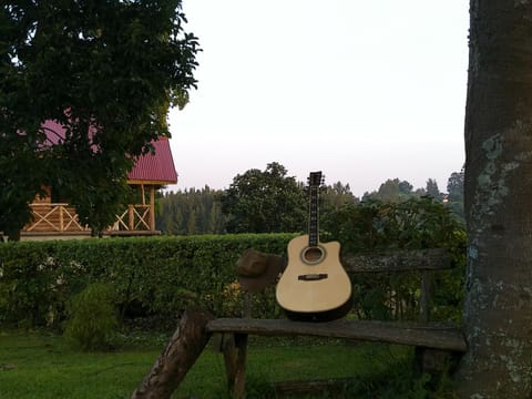 Evening entertainment