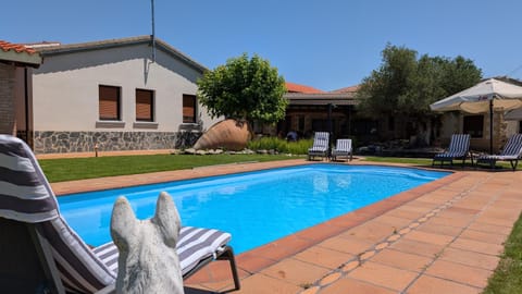 Property building, Patio, Day, Garden, Garden view, Pool view, Swimming pool, Swimming pool, sunbed