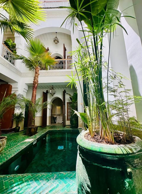 Patio, Garden, Garden view, Pool view, Swimming pool