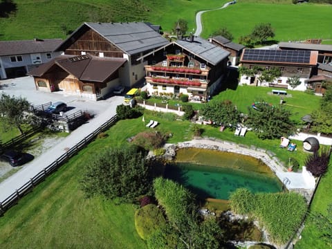 Garden, Swimming pool