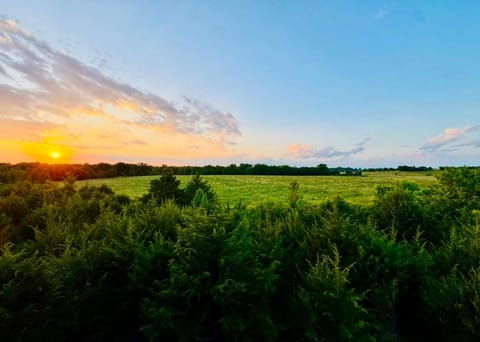 Spring, Day, Natural landscape, View (from property/room), Sunrise, Sunset
