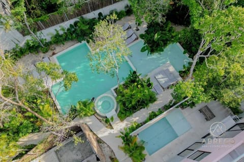 Day, Bird's eye view, Pool view, Swimming pool