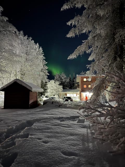 Property building, Night, Natural landscape, Winter