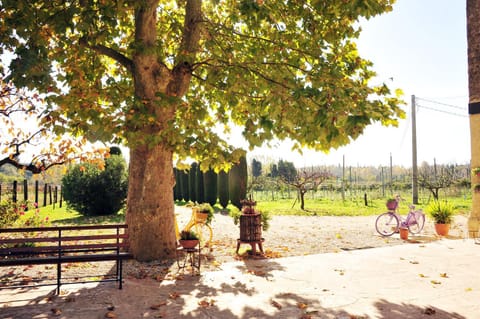 Agriturismo Corte Bonetti Farm Stay in Veneto
