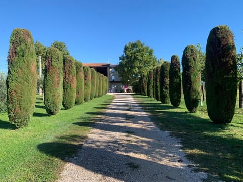 Agriturismo Corte Bonetti Farm Stay in Veneto