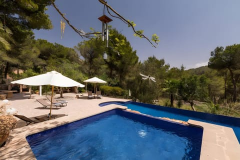 Property building, Living room, Swimming pool