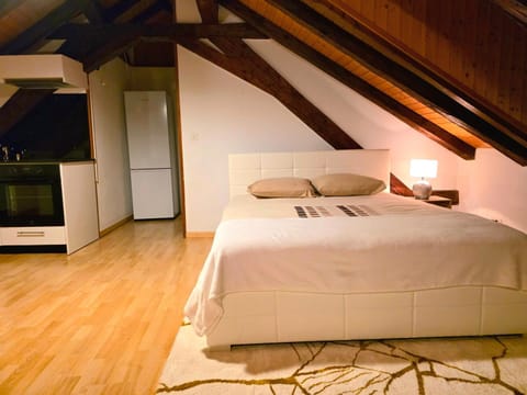 Petit studio centre ville Apartment in Montreux