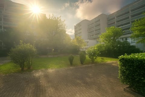 Property building, Spring