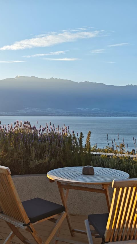 Lake view