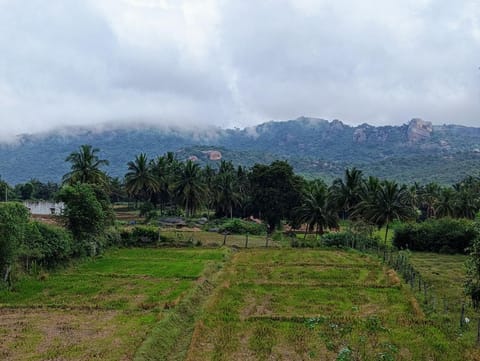 Natural landscape, Mountain view