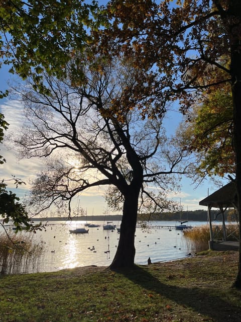 Apartamenty Plaża Miedwie STARGARD-ZIELENIEWO Apartment in West Pomeranian Voivodeship, Poland