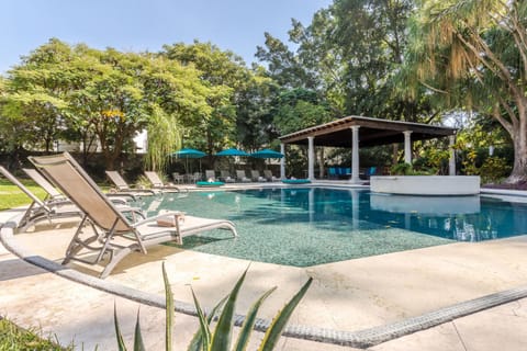 Casona de Elefantes Bed and Breakfast in Cuernavaca