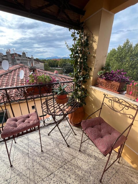 View (from property/room)