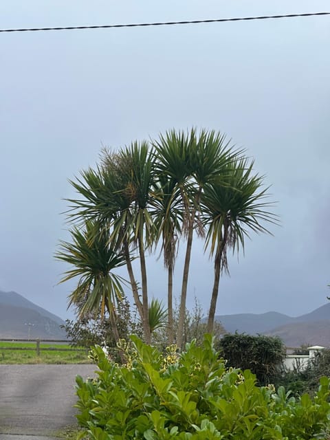 The Killarney Hideaway Vacation rental in County Kerry