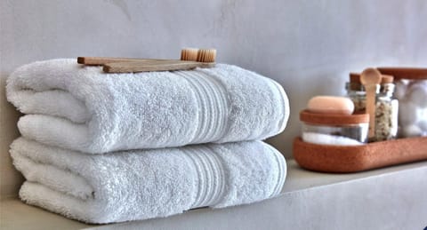 Chic & Modern Apartment In The Heart Of Downtown Apartment in Victoria