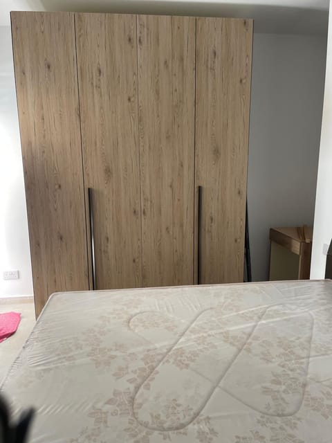 FL 1, St Albert Street Apartment in Sliema