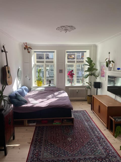 Bed, Living room, Photo of the whole room, Bedroom