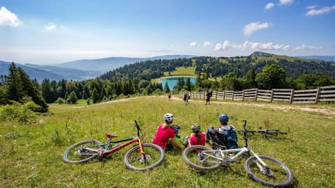 Day, Natural landscape, Cycling, Mountain view