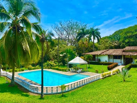 Spring, Day, Natural landscape, Garden, Garden view, Pool view, Swimming pool, sunbed