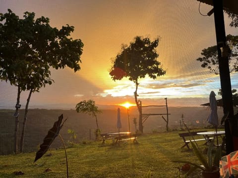 Day, Natural landscape, Garden view, Mountain view, Sunset