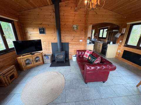 Brynmeini Lake Lodge Nature lodge in Clydau