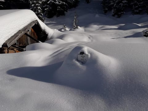 Lauton Dolomiti Relax Apartment - mit Jacuzzi-Badewanne Apartment in Trentino-South Tyrol