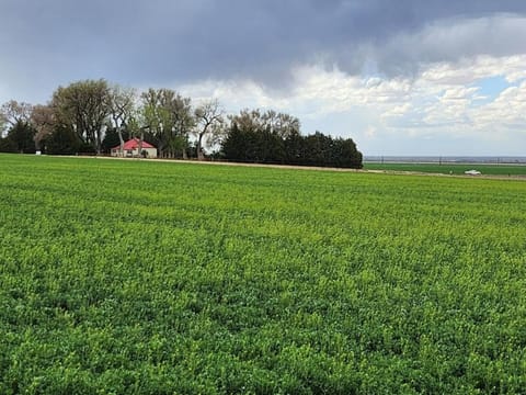 Behm's Farm Villa in Colorado