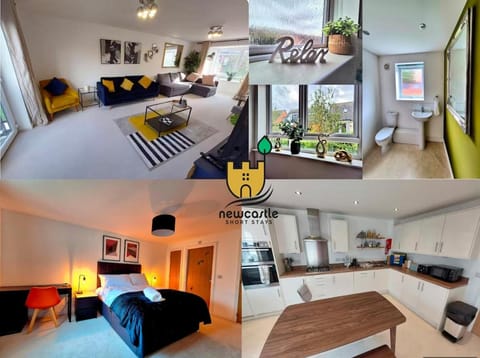 Bed, Living room, Photo of the whole room, Seating area, Dining area