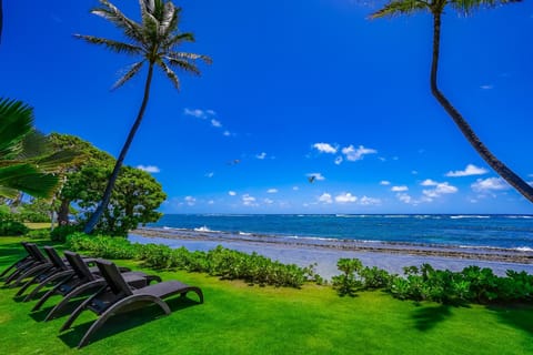 Kauai Kailani 319 Apartment in Kapaa