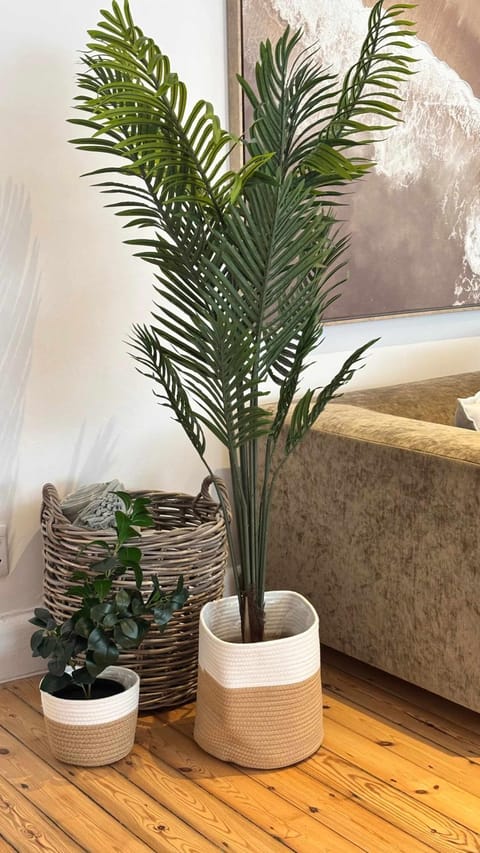 Sea Point Charm 2 bedroom Semi-Cottage House in Sea Point