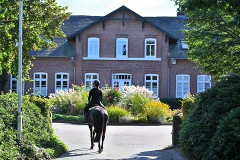Patio, Horse-riding, Animals
