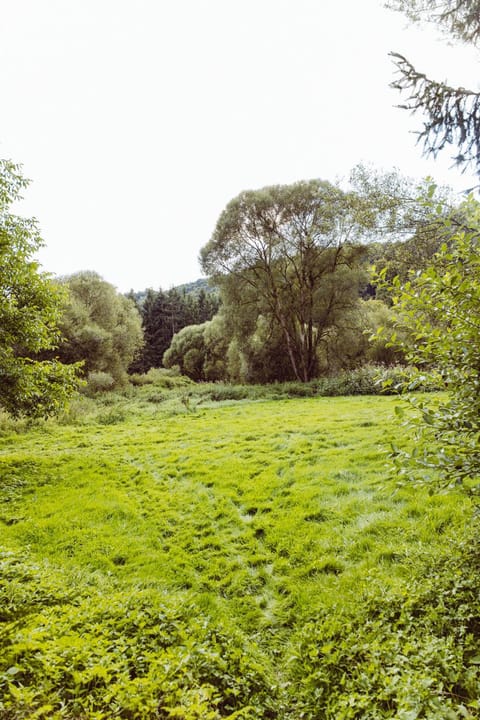 Retro mobilehome Fanfare Woltzdal Apartment in Luxembourg