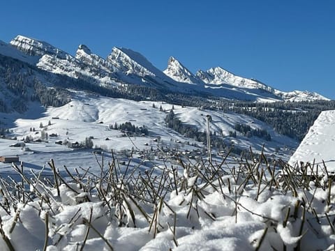 Beatli Chalet Chalet in St. Gallen, Switzerland